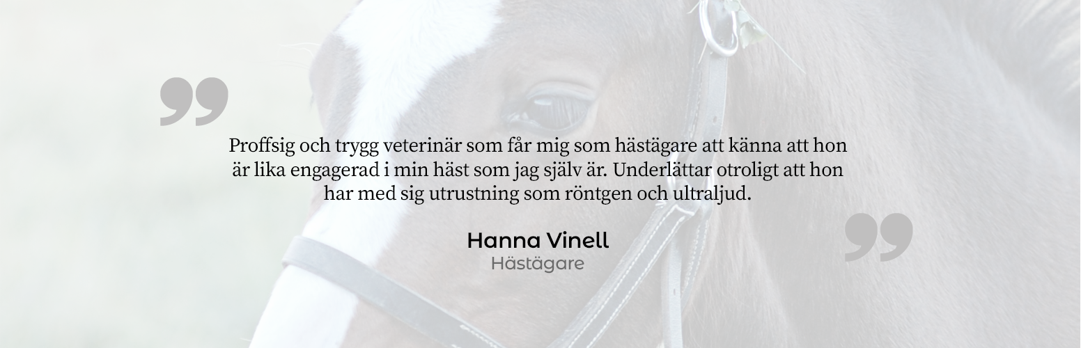 Horse_testimonial4